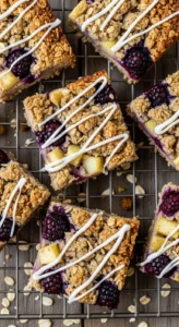 Apple Blackberry Oat Bars final